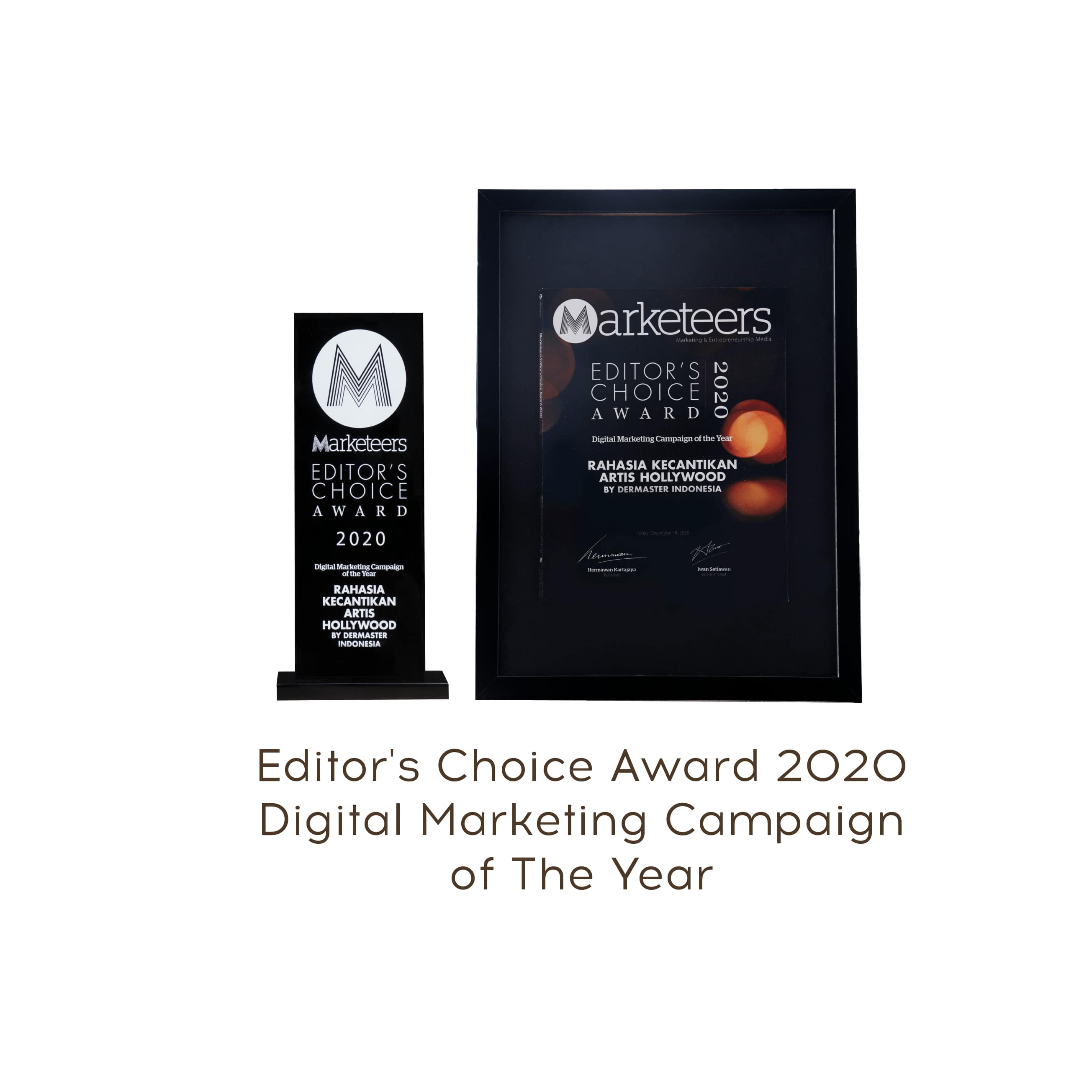 marketer editor choice award 2020
